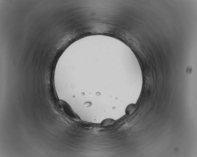 X0000094350539200711301404