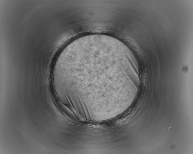 X0000094350540200711301404
