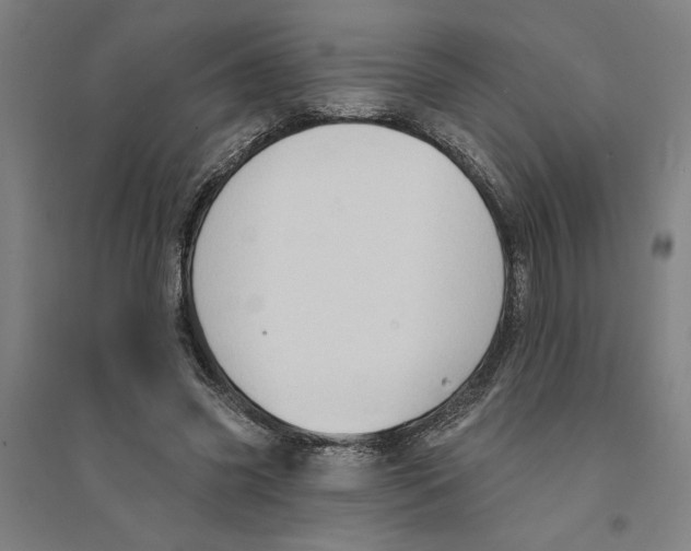 X0000094350541200711301404