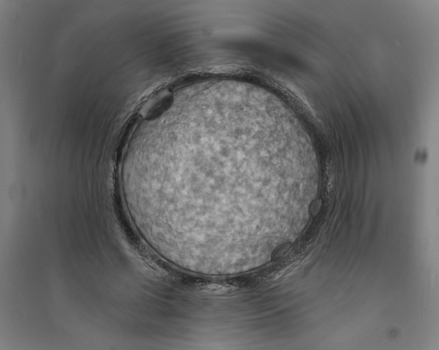 X0000094350542200711301404