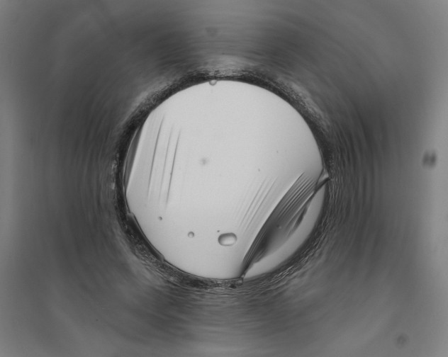 X0000094350543200711301404