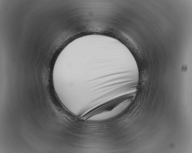 X0000094350544200711301404