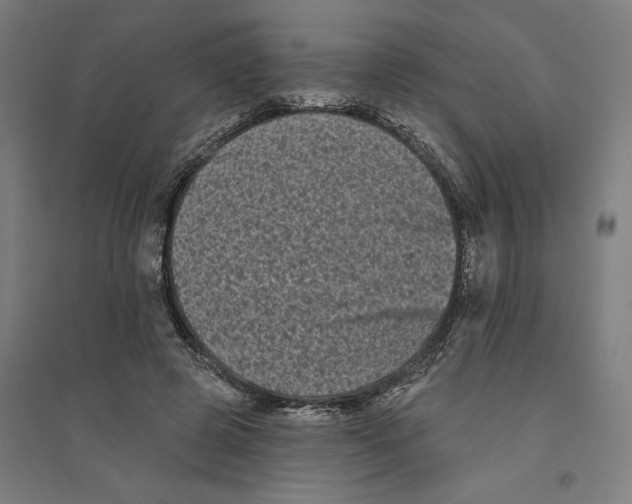 X0000094350545200711301404