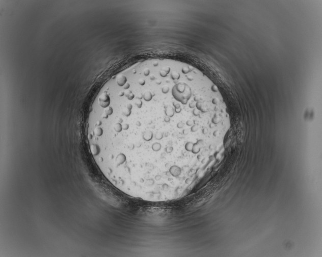 X0000094350546200711301404