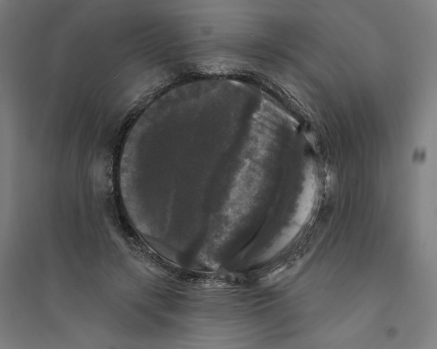 X0000094350547200711301404