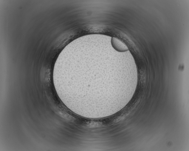 X0000094350549200711301404