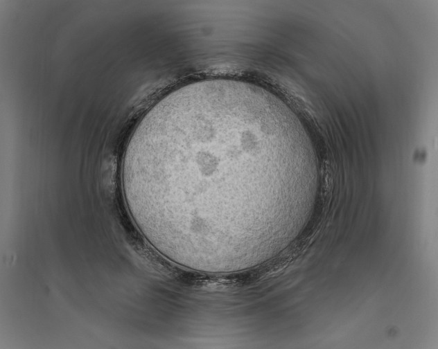 X0000094350550200711301404
