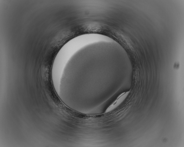 X0000094350551200711301404