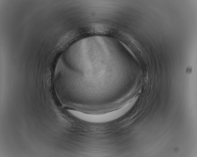 X0000094350552200711301404