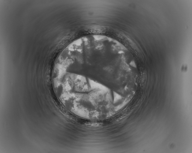 X0000094350553200711301404