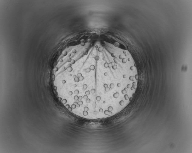 X0000094350554200711301404