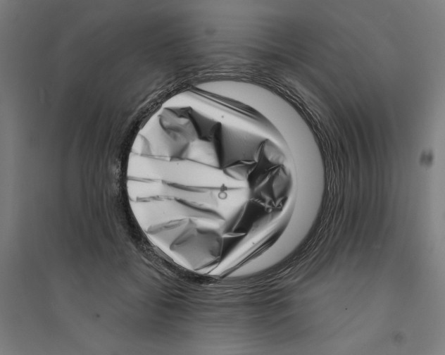 X0000094350556200711301404