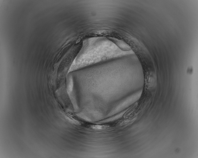 X0000094350558200711301404