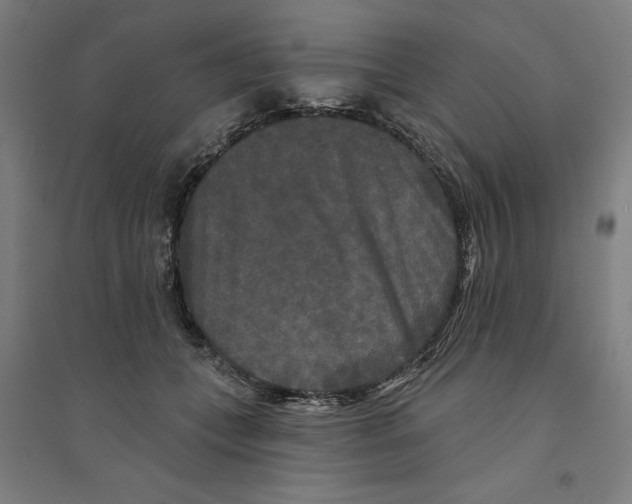 X0000094350559200711301404