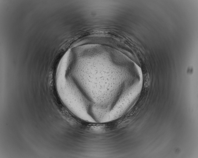 X0000094350560200711301404