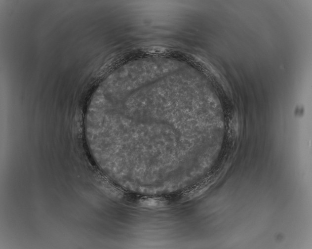 X0000094350561200711301404