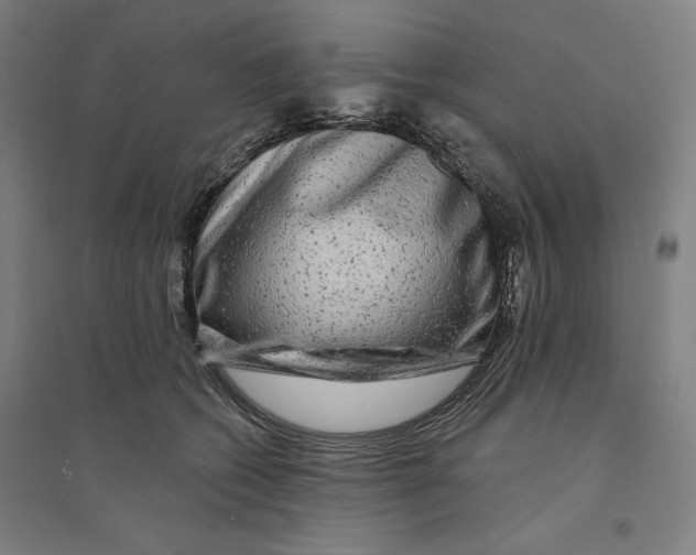 X0000094350562200711301404