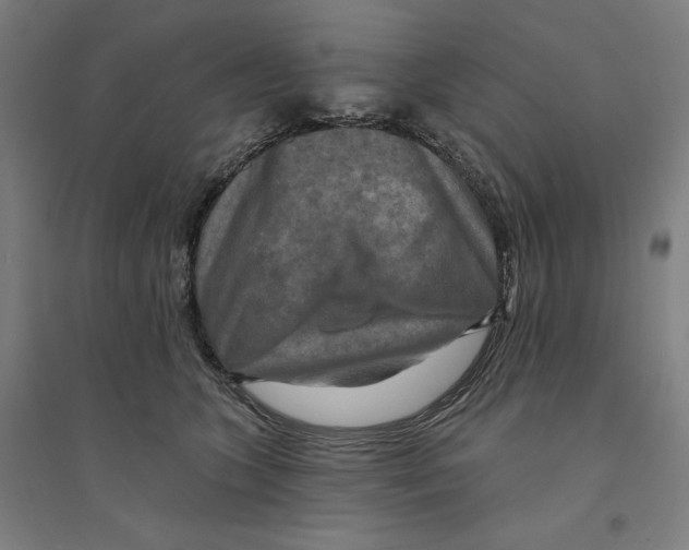 X0000094350563200711301404