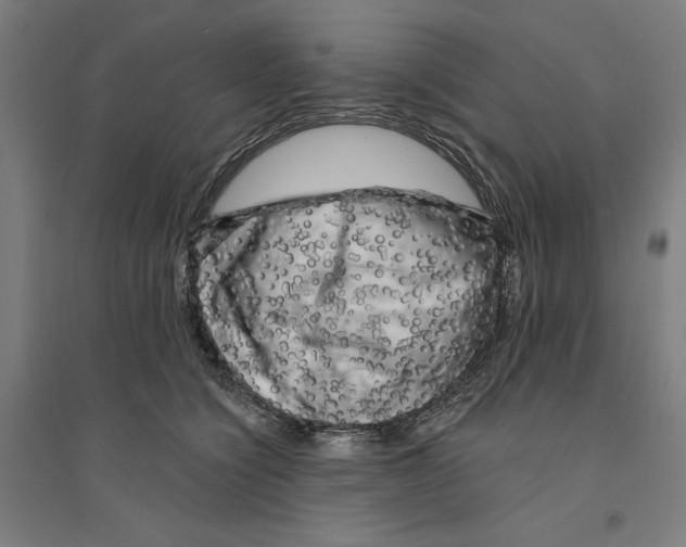 X0000094350564200711301404