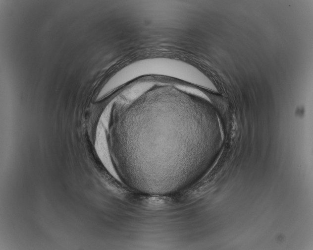 X0000094350566200711301404