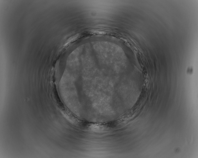 X0000094350568200711301404