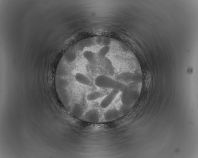 X0000094350569200711301404