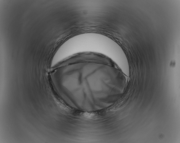 X0000094350570200711301404