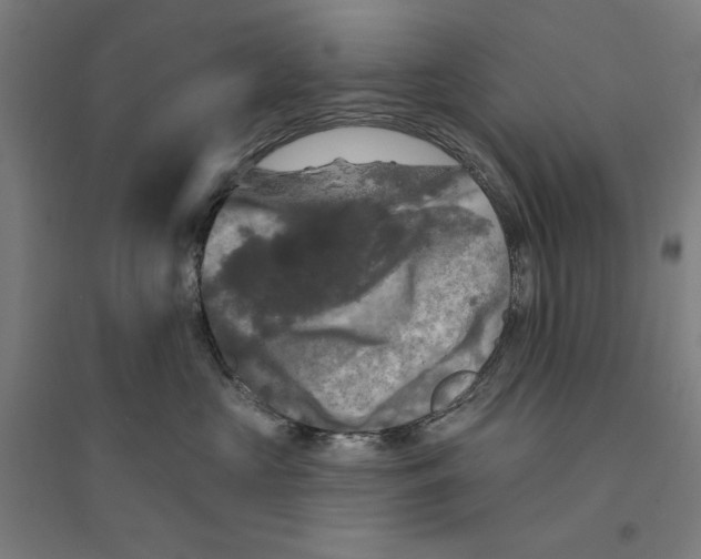 X0000094350573200711301405