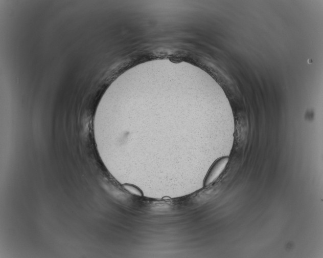 X0000094350574200711301405