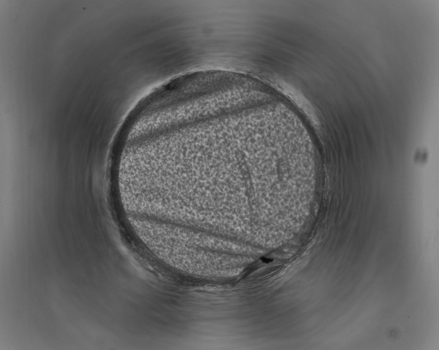 X0000094350580200711301404