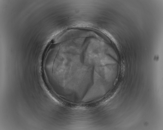 X0000094350581200711301404