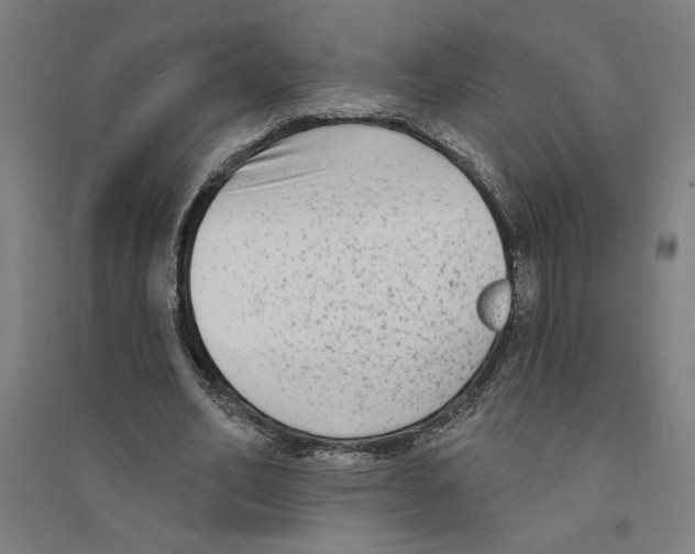 X0000094350582200711301404