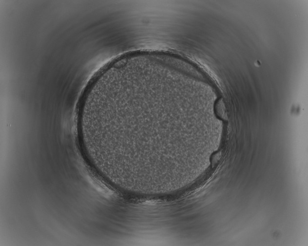 X0000094350584200711301404