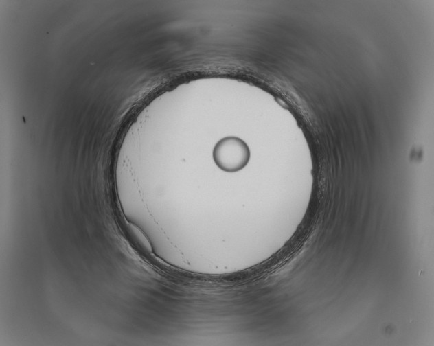 X0000094350585200711301404