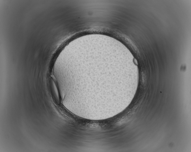 X0000094350588200711301404