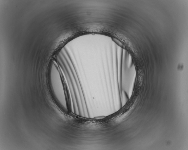 X0000094350589200711301404