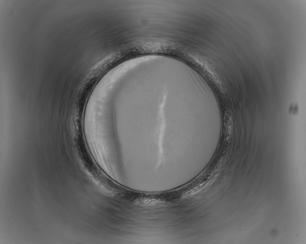 X0000094350590200711301404