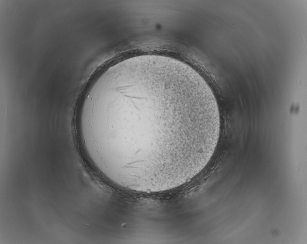 X0000094350592200711301403
