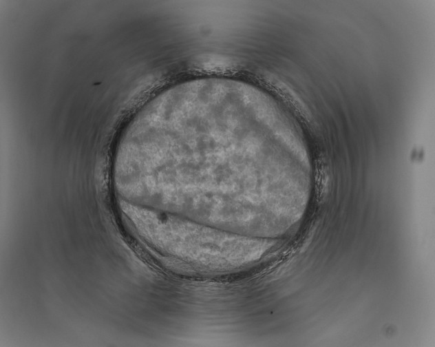 X0000094350593200711301403