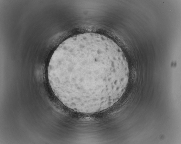 X0000094350594200711301403