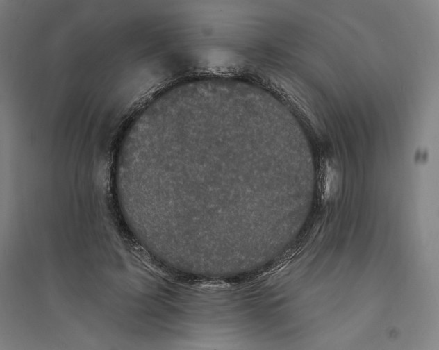 X0000094350595200711301403