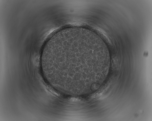 X0000094350596200711301403