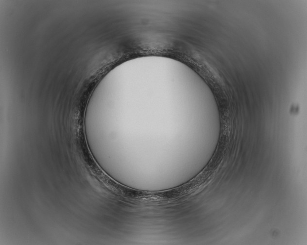 X0000094350599200711301403
