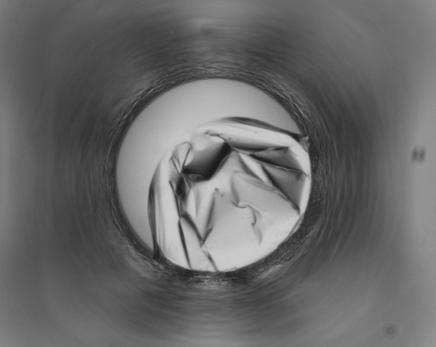 X0000094350601200711301403