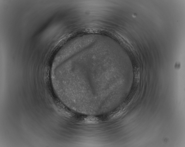 X0000094350603200711301403