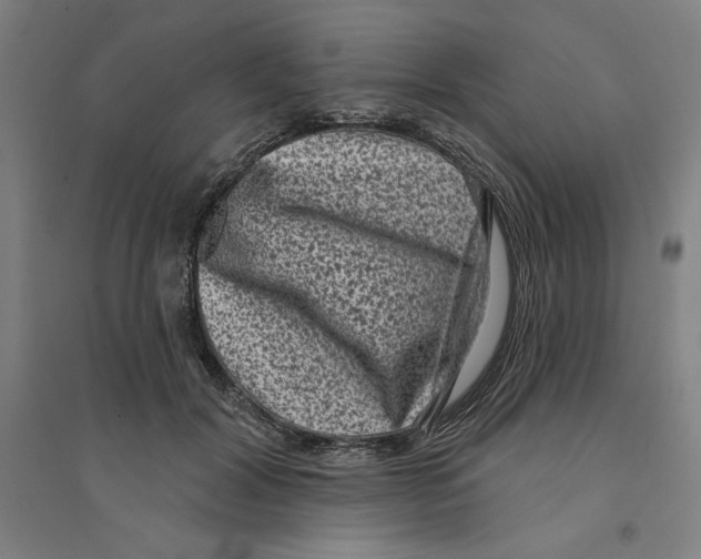 X0000094350604200711301403