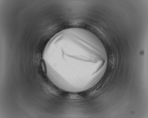 X0000094350605200711301403