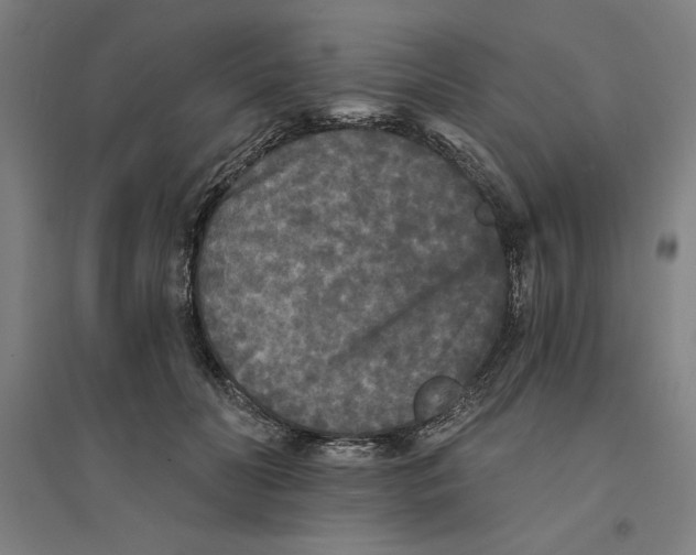 X0000094350606200711301403