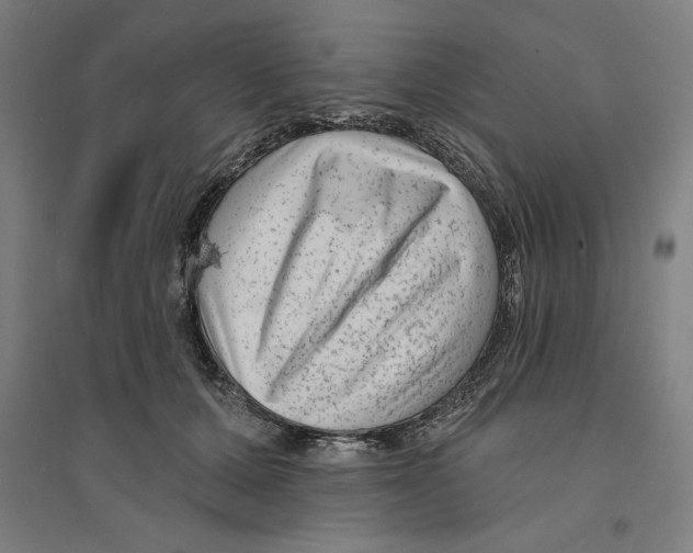 X0000094350607200711301403