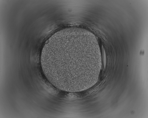 X0000094350608200711301403